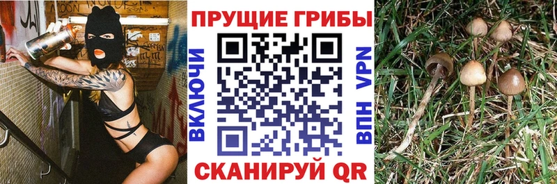 Псилоцибиновые грибы мухоморы  Белая Холуница 